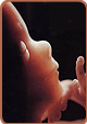 Εγκύκλιος (1986) της Ιεράς Συνόδου για τις εκτρώσεις